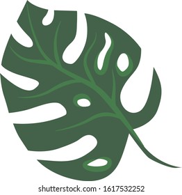 Colorful vektor palm leaf icon