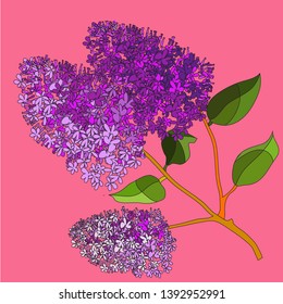 A colorful version of the lilac drawing that shows a branch with flowers and leaves