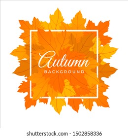 colorful and vibrant autumn background