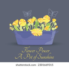 Colorful and vibrant balcony pot with flowers in it. A rectangular pot is full of herbs and plants. Decorative garden butterflies made of wire. Cheerful summer composition on the plain background.