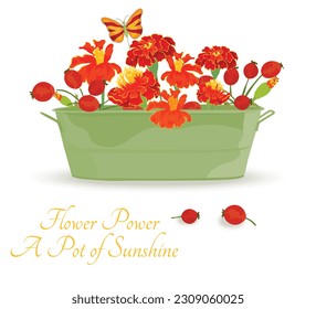 Colorful and vibrant balcony pot with flowers. Rectangular pot full of herbs and plants. Decorative garden butterflies made of wire and glass. Cheerful summer composition on the plain background.