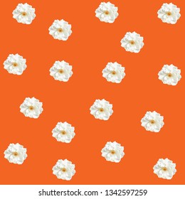 Colorful and Vibrant Floral Flower Pattern of White Rose on Color background. Vector background for Spring or Summer.