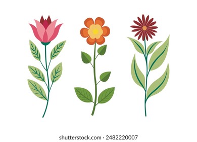 Colorful Vibrant  Flowers Vector Illustrations.