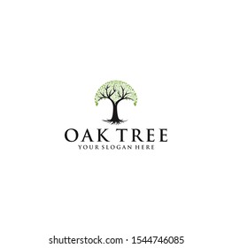 Colorful vibrant oak tree logo design concept vector