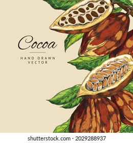 Colorido fondo vintage de banner con hojas y vástagos de cacao, ilustración vectorial estilo grabado. Plantilla de etiquetas o banners para productos de chocolate y cacao.