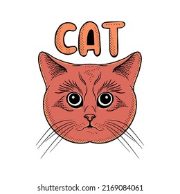 colorful vintage cat doodle illustration for sticker tattoo poster t-shirt design etc