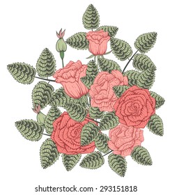 Colorful vintage design element. Roses and leaves. In the style of an old botanical illustration.