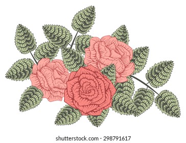 Colorful vintage design element. Roses and leaves. In the style of an old botanical illustration.