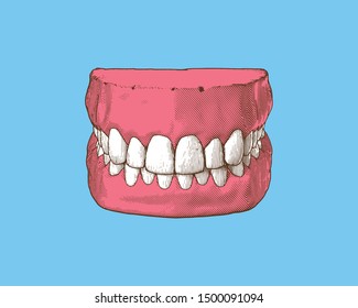 Colorful vintage engraved drawing tooth and gum close jaw represent for dental occlusion in top front view illustration isolated on light blue background