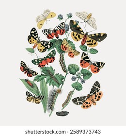 Colorful vintage illustration of various butterflies and caterpillars among green leaves and flowers. Detailed butterfly and caterpillar art. Vintage animal illustration vector.