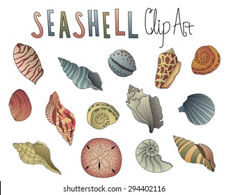 Colorful Vintage Seashell Vector Set