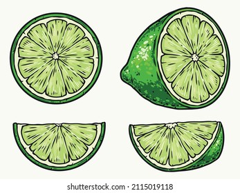 Colorful vintage set of fresh ripe green lime parts, isolated vector illustration