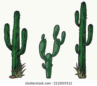 Colorful vintage set of prickly cactuses with grass around trunks, vector illustration