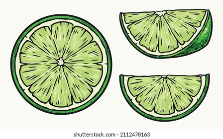 Colorful vintage set of ripe juicy lime slices on white background, vector illustration
