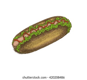 Colorful vintage style hand drawn hot dog. Vector illustration