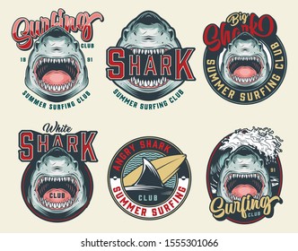 Colorful vintage surfing club badges with angry dangerous sharks sea waves surfboard and inscriptions isolated vector illustration