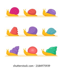 Colorful walking flat snail collection