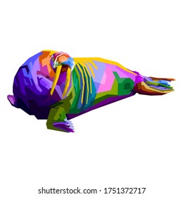 colorful walrus on pop art style. vector illustration