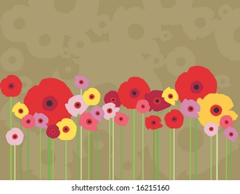 colorful warm field of poppies