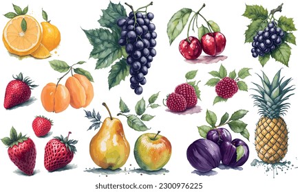 Colorful Watercolor Collection of Fresh fruits. Vector illustration