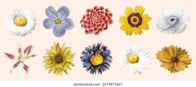 Colorful watercolor flowers arranged in a grid. Various flowers in vibrant colors. Watercolor style highlights each flower's unique beauty. Floral art collection. Spring flower illustrations, vectors.