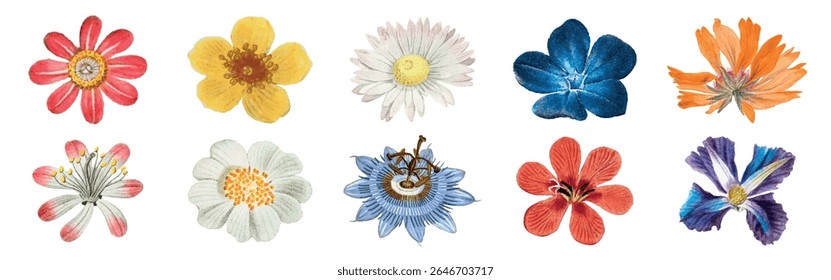 Colorful watercolor flowers in shapes and colors. Each flower is unique, showcasing vibrant petals and intricate designs. Artistic floral collection. Spring flower illustrations, isolated vector set.