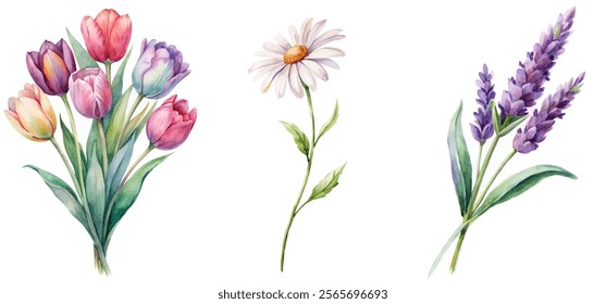 Colorful watercolor flowers, vibrant tulips, delicate daisies, fragrant lavender, botanical illustration, floral design, nature art.