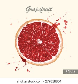 Colorful watercolor grapefruit