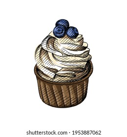 Colorful watercolor Hand drawn sketch of cupcake with blueberry on a white background. Cupcakes, dessert, Sweets. Muffin.	
