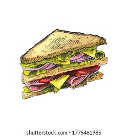 Colorful watercolor Hand-drawn sketch of Junk food and snacks (Fast food).  Club sandwich with cheese, bread, ham, salad leaves and tomato
