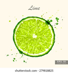 Colorful Watercolor Lime