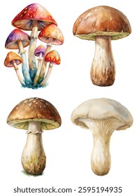 Colorful watercolor mushrooms, nature illustration, artistic botanical design, vibrant fungi, detailed art style.