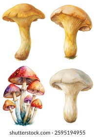 Colorful watercolor mushrooms, vibrant fungi illustrations, botanical art style, nature-inspired design, perfect for decor, educational purposes.