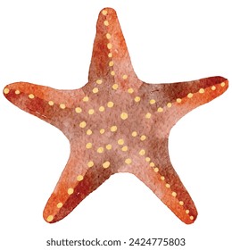 Ilustración de estrellas de mar de acuarela colorida, perfecta para proyectos de diseño y decoraciones de temática marina.