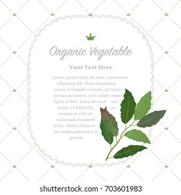 Colorful watercolor texture nature organic vegetable memo frame bay leaf