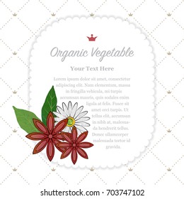 Colorful watercolor texture nature organic vegetable memo frame anise