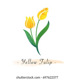 Colorful watercolor texture vector botanic garden flower yellow tulip