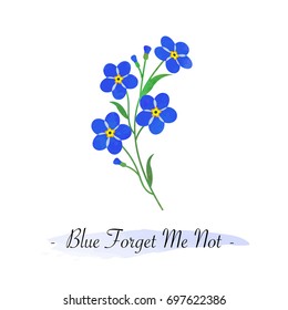 Colorful watercolor texture vector botanic garden flower blue forget me not