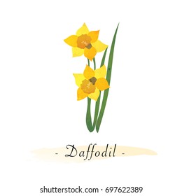 Colorful watercolor texture vector botanic garden flower daffodil