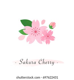 Colorful watercolor texture vector botanic garden flower pink sakura cherry blossom
