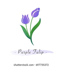 Colorful watercolor texture vector botanic garden flower purple tulip