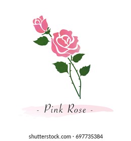 Colorful watercolor texture vector botanic garden flower pink rose
