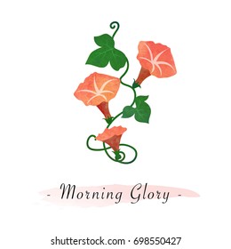 Colorful watercolor texture vector botanic garden flower orange morning glory