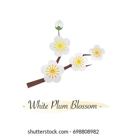 Colorful watercolor texture vector botanic garden flower white plum blossom