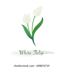 Colorful watercolor texture vector botanic garden flower white tulip