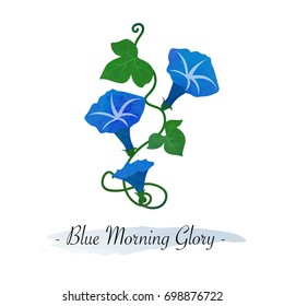 Colorful watercolor texture vector botanic garden flower blue morning glory