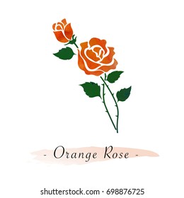 Colorful watercolor texture vector botanic garden flower orange rose
