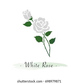 Colorful watercolor texture vector botanic garden flower white rose