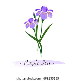 Colorful watercolor texture vector botanic garden flower purple iris