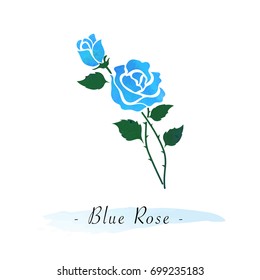 Colorful watercolor texture vector botanic garden flower light blue rose